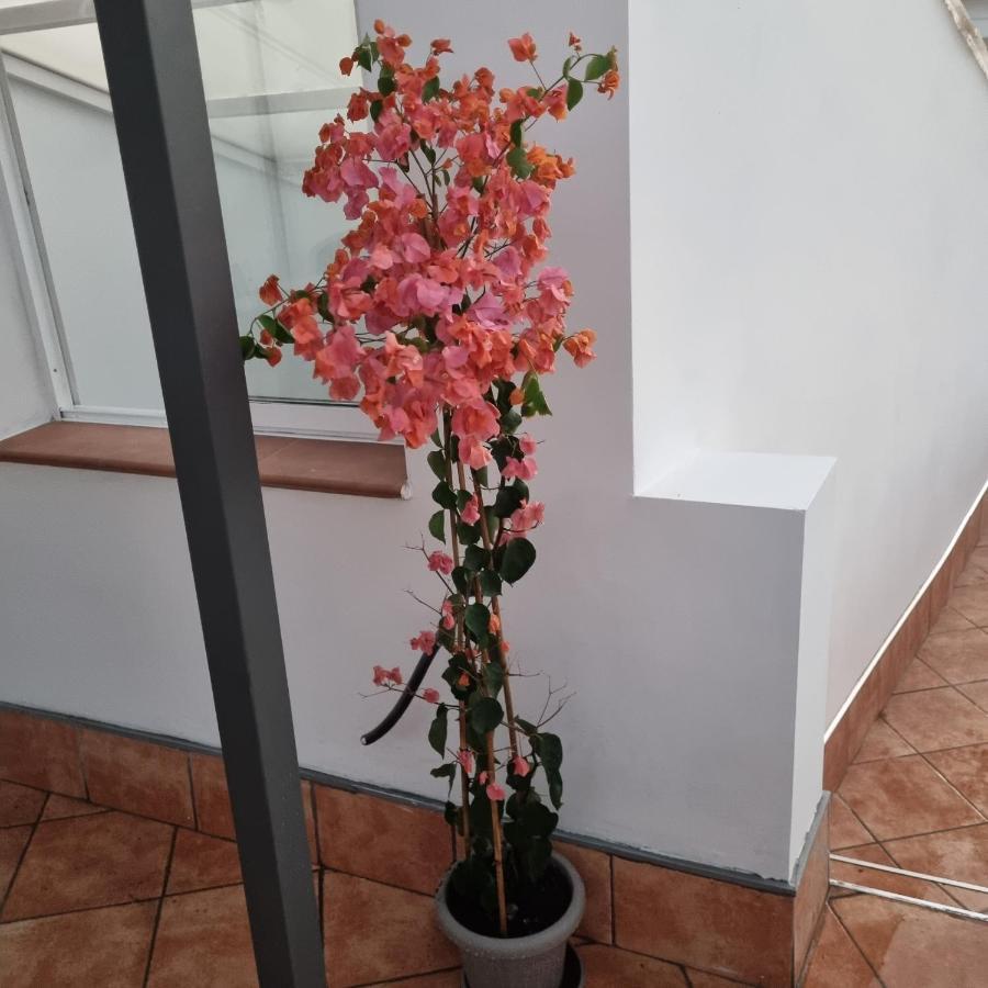 Santiago Del Teide Room Exterior photo